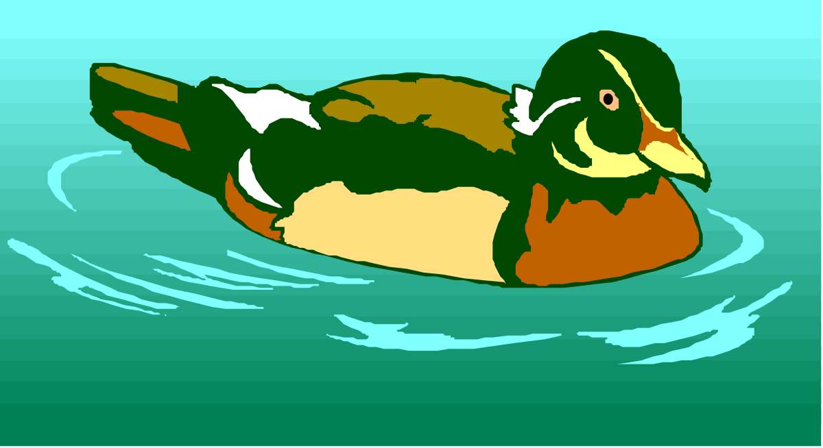 Duck Floating on Calm Water - Vibrant Nature Clipart
