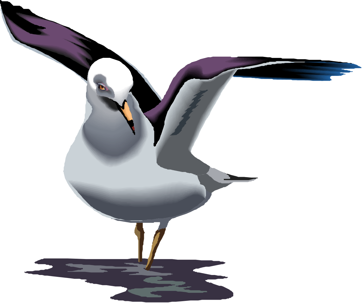 Seagull Flying with Wings Spread - Stunning Clipart for Nature Lovers