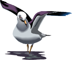 Seagull Flying with Wings Spread - Stunning Clipart for Nature Lovers