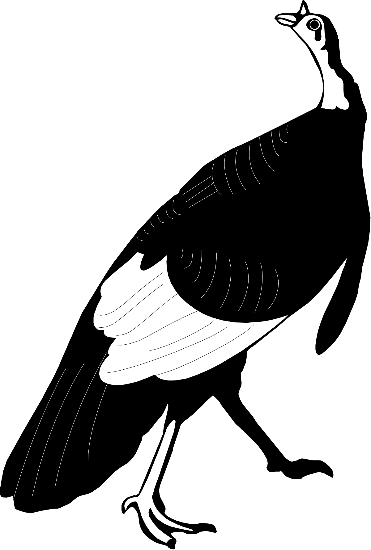 a black and white bird with a long beak clip art png transparent Black and White Bird with Long Beak - Stunning Clipart for Creative Projects