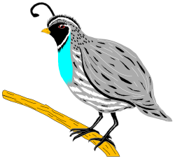 Bird on Branch: Elegant Clipart Design with Black Background
