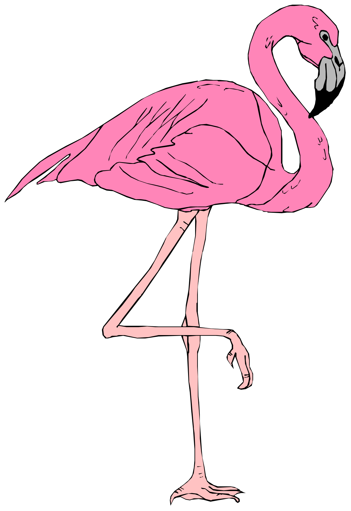 Pink Flamingo on Black Background - Elegant Clipart Design