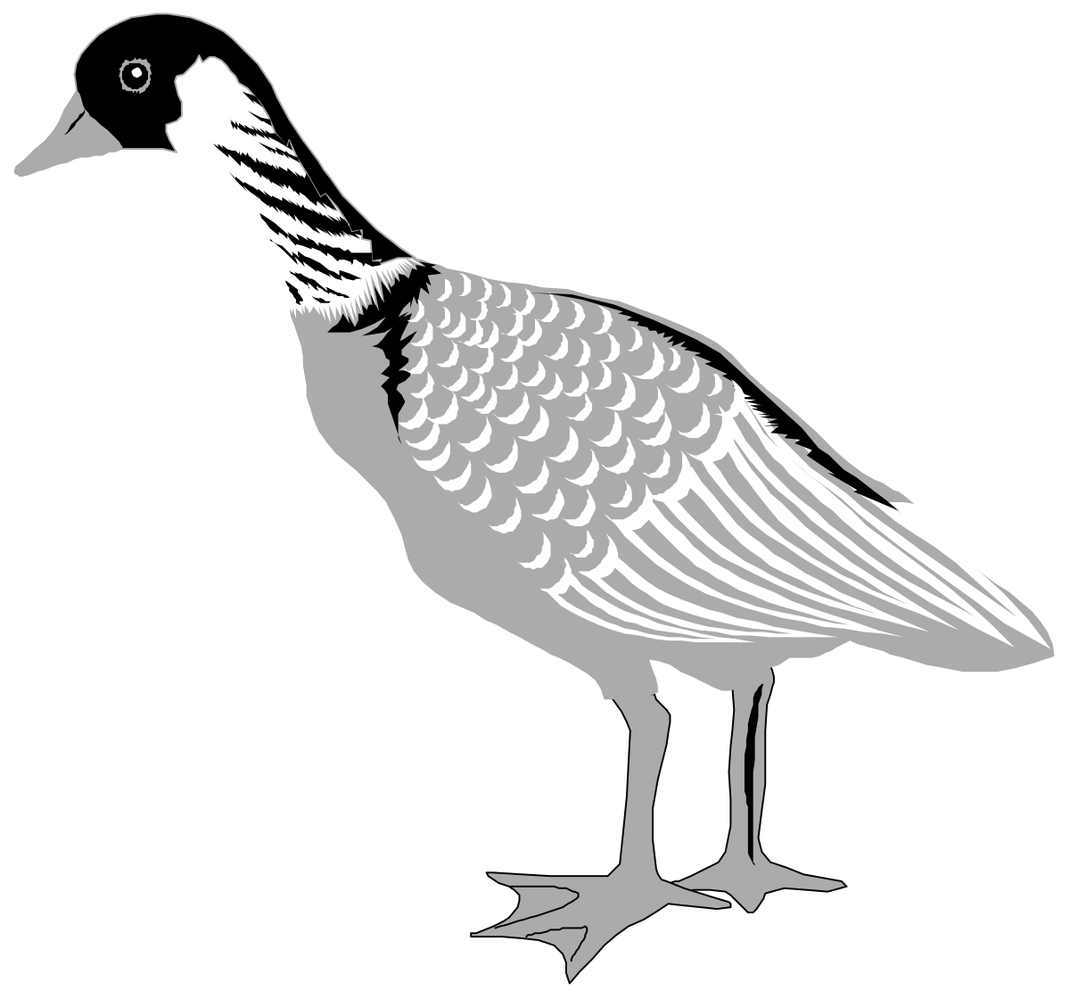 Bird with Long Beak and Neck Clipart - Vibrant and Detailed SVG Imagery