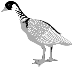 Bird with Long Beak and Neck Clipart - Vibrant and Detailed SVG Imagery