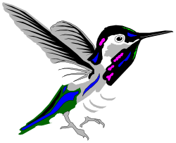 Hummingbird Clipart: Vibrant and Lively Designs for Your Projects