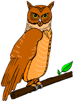 Owl on Branch with Leaf Clipart: Whimsical Nature Illustration