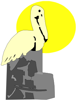 White Bird on Rock Clipart - Perfect for Nature Themes
