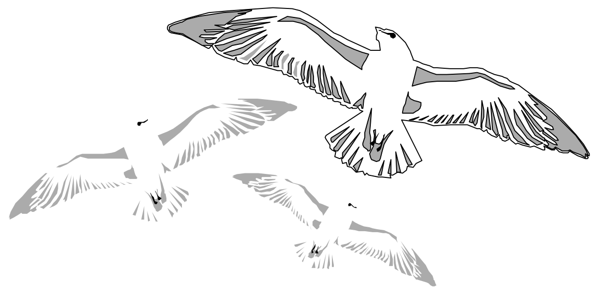 three birds flying in the air clip art png transparent Three Birds Flying in the Air - Stunning Clipart for Nature Lovers