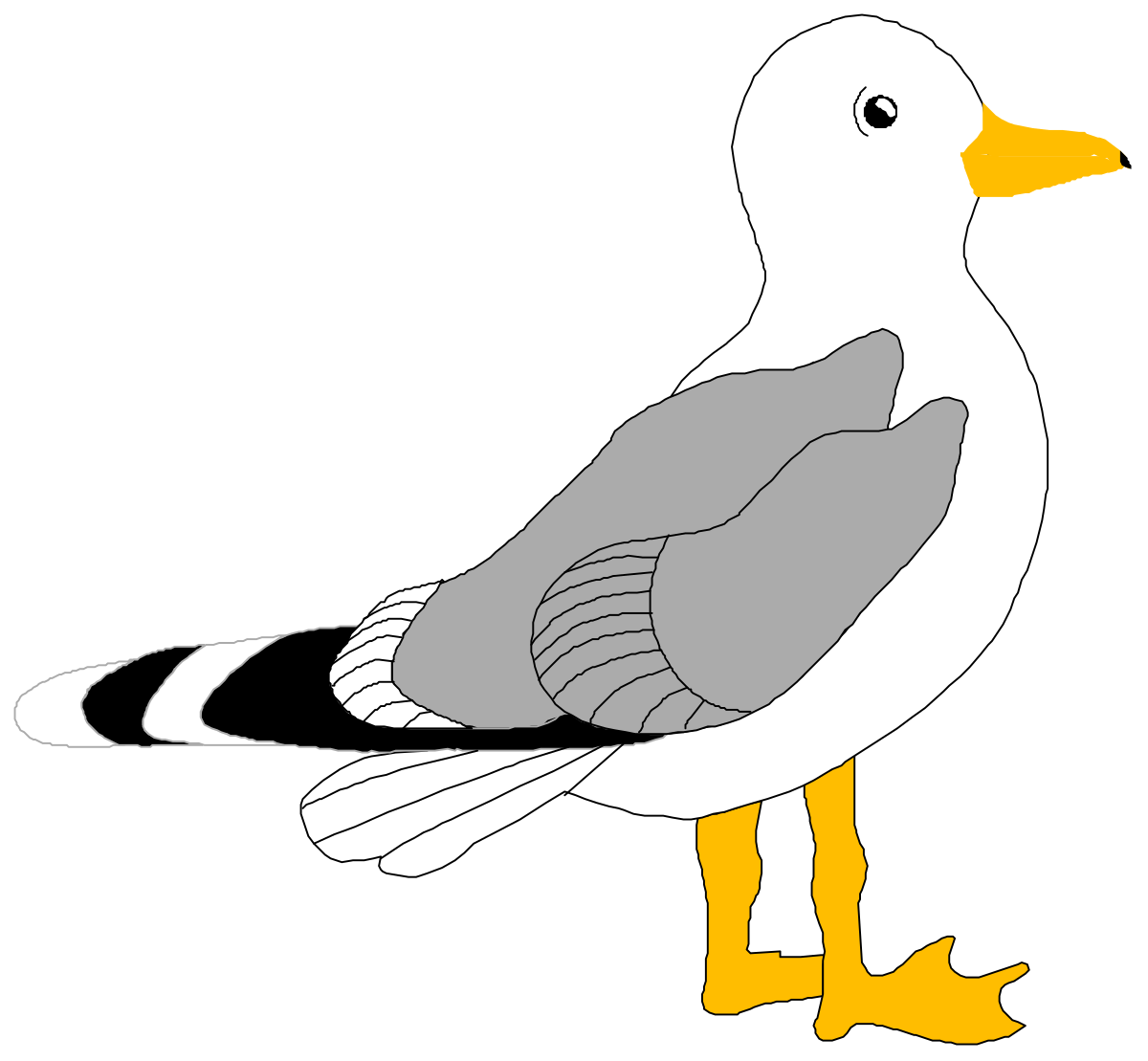 a seagul bird with a long beak clip art png transparent Seagull Bird Clipart with Long Beak