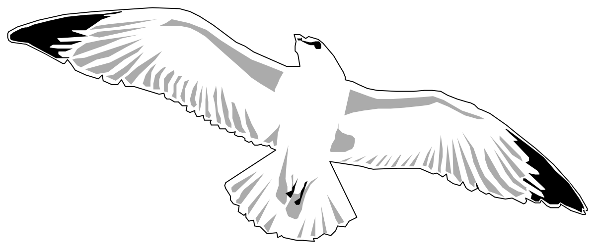 White Bird Flying in the Air - Stunning Clipart for Nature Themes