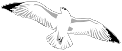 White Bird Flying in the Air - Stunning Clipart for Nature Themes