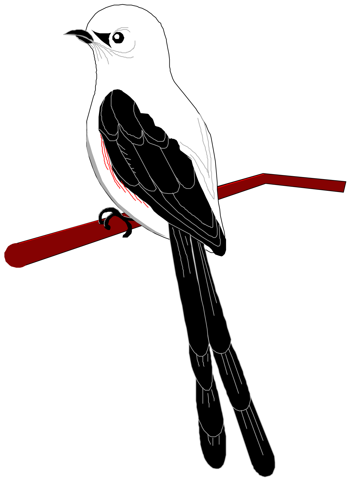 a bird sitting on a branch clip art png transparent Bird on Branch Clipart - Nature Illustration for Your Projects