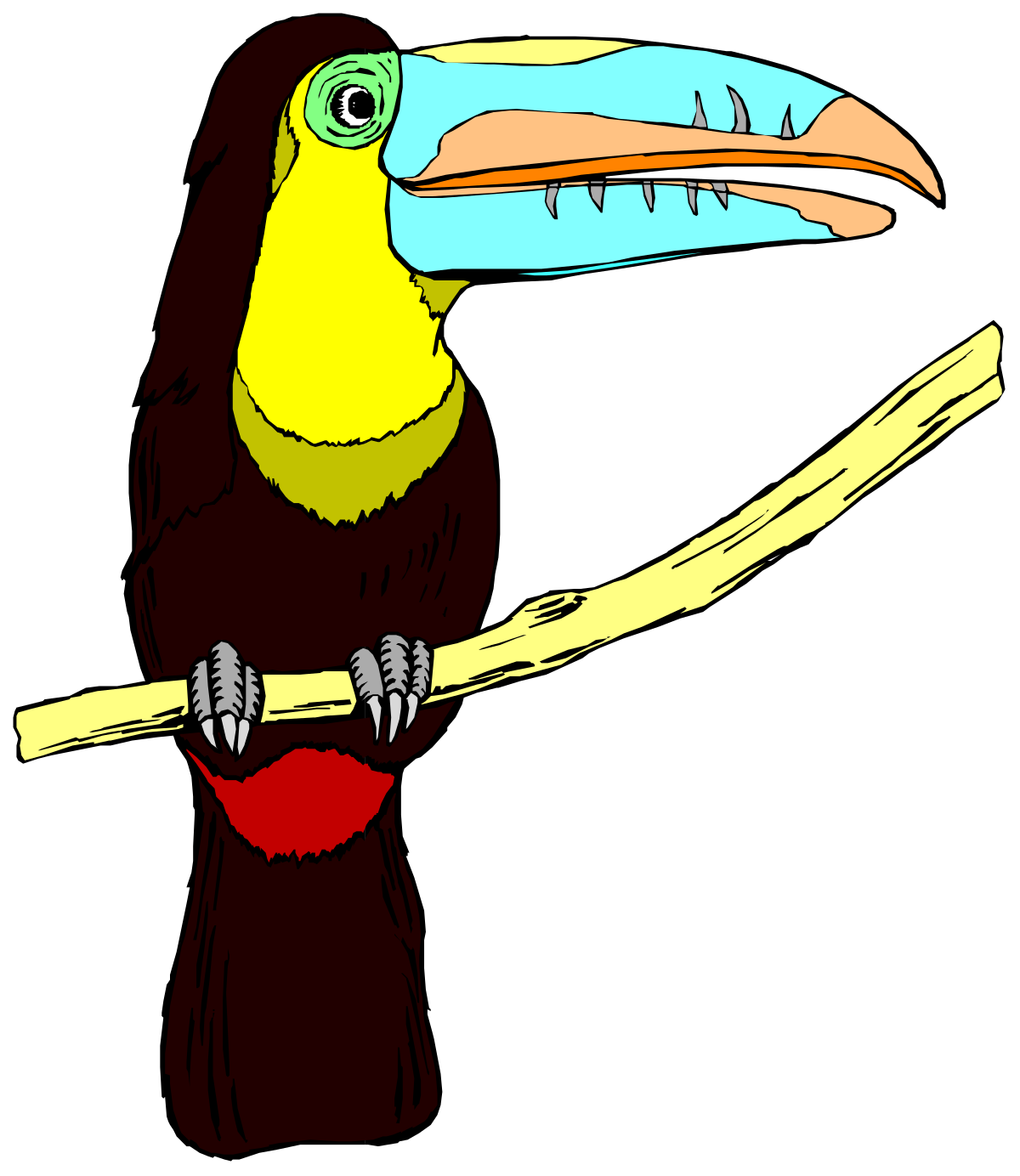 Toucan Bird Perched on a Branch - Vibrant Clipart Collection