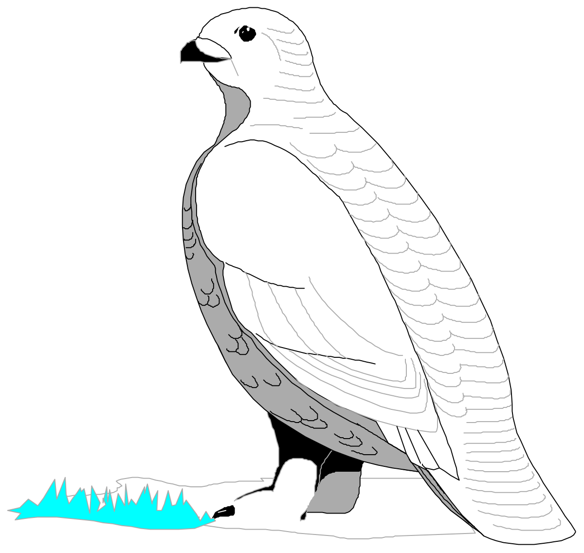 Bird on a Branch Clipart - Nature Illustration for Your Projects