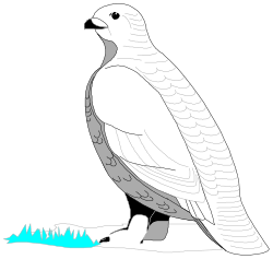 Bird on a Branch Clipart - Nature Illustration for Your Projects