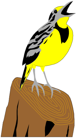 Bird on Wood Clipart: Nature's Serenity Unleashed