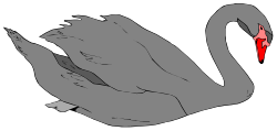 Black Swan with Red Beak - Stunning Clipart for Nature Lovers