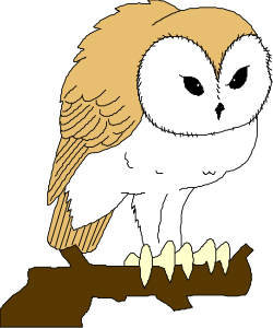 Owl Sitting on a Branch - Enchanting Nature Clipart