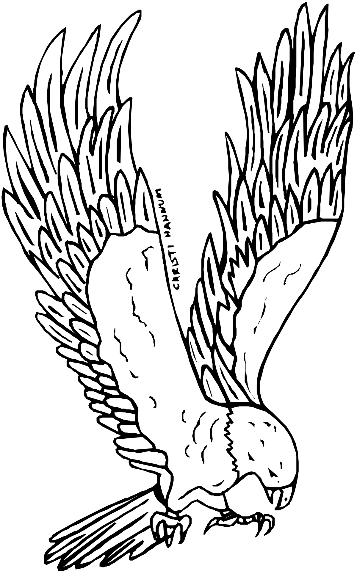 a white bird with wings clip art png transparent White Bird with Wings Clipart for Creative Projects