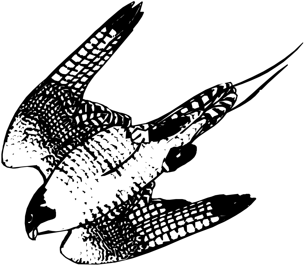Black and White Bird Flying in the Air Clipart