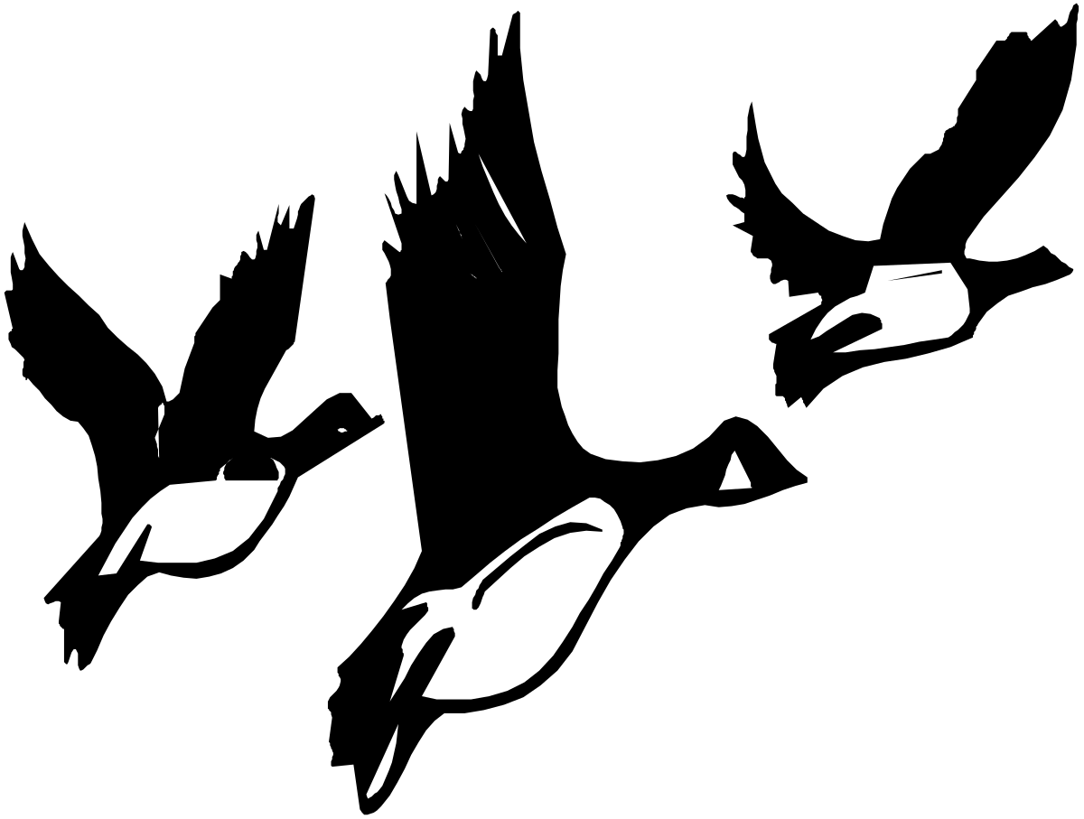 Black and White Cat Clipart - Adorable Feline Graphic