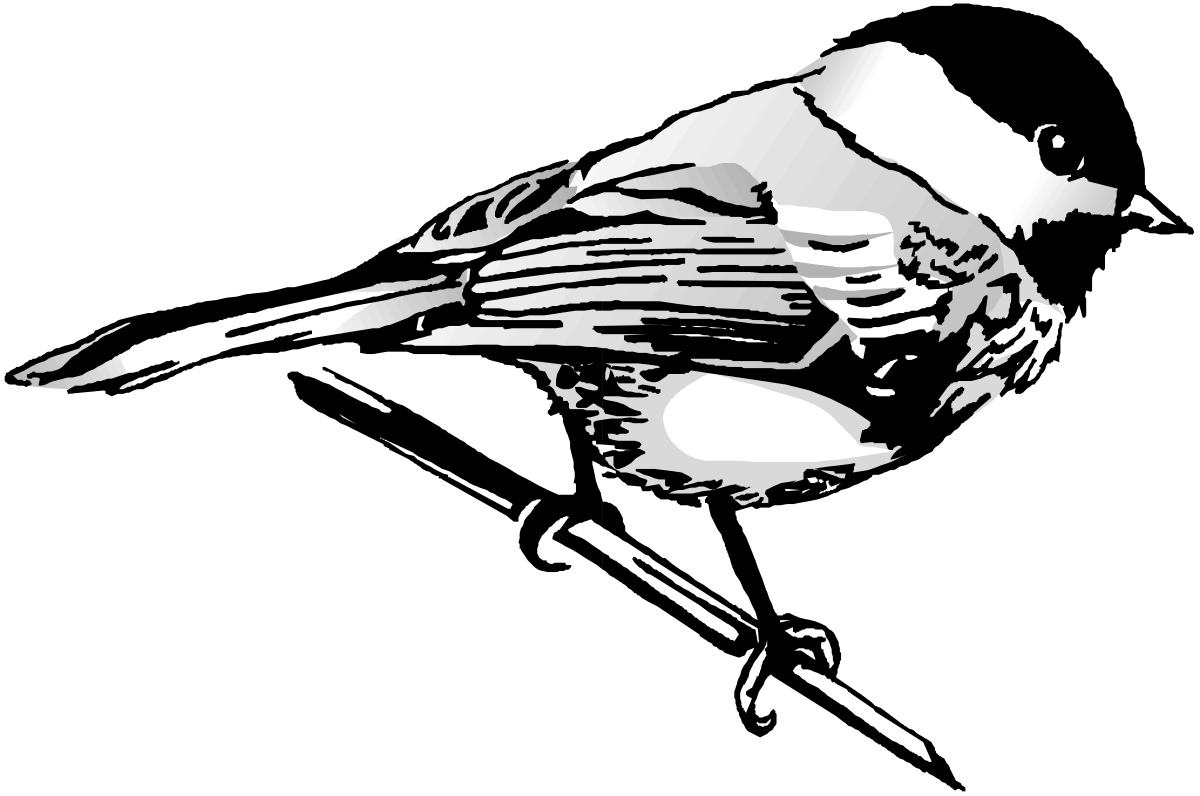 a black and white image of a bird clip art png transparent Black and White Bird Clipart - Elegant Avian Silhouette for Diverse Uses