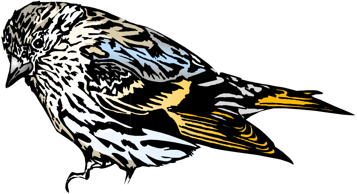 a bird sitting on top of a black background clip art png transparent Bird Perched on Black Background - Eye-Catching Clipart for Creative Projects