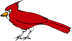 Cardinal Bird on Black Background - Stunning Clipart Design