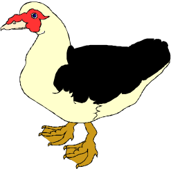 Duck with Red Beak and Yellow Feet Clipart - Vibrant and Playful Illustration