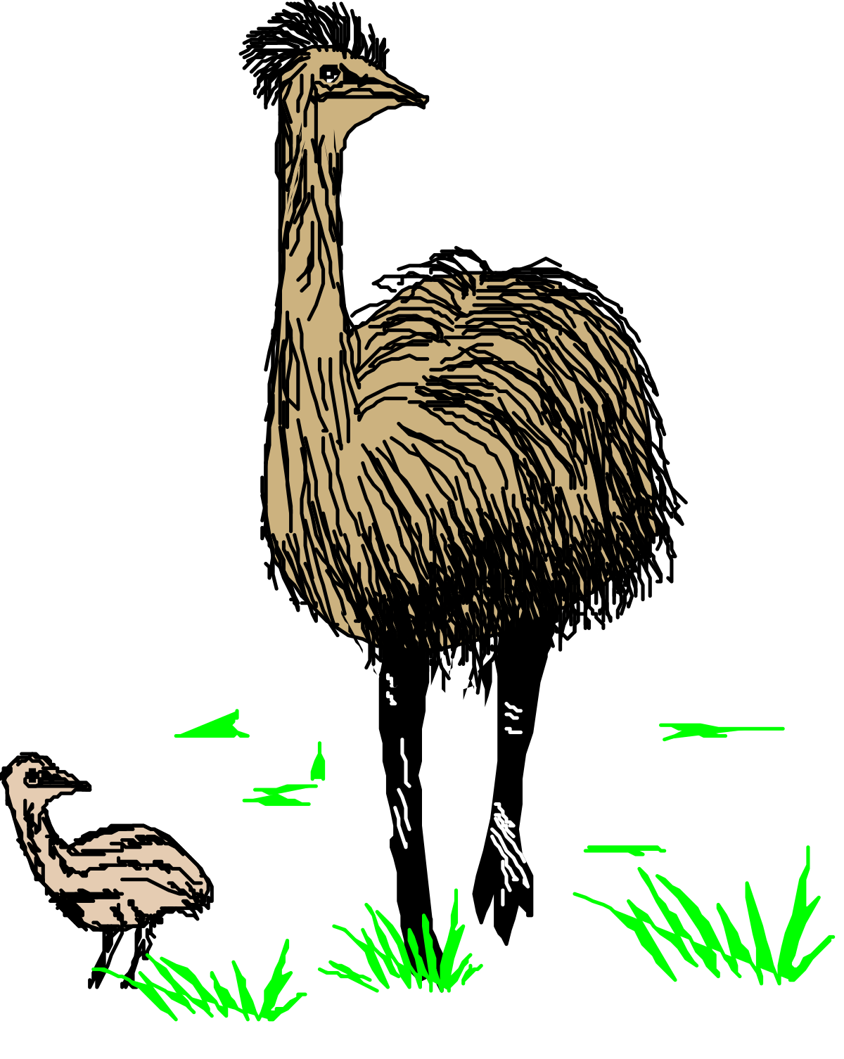 Bird Standing in Grass Clipart - Vibrant Nature Scene