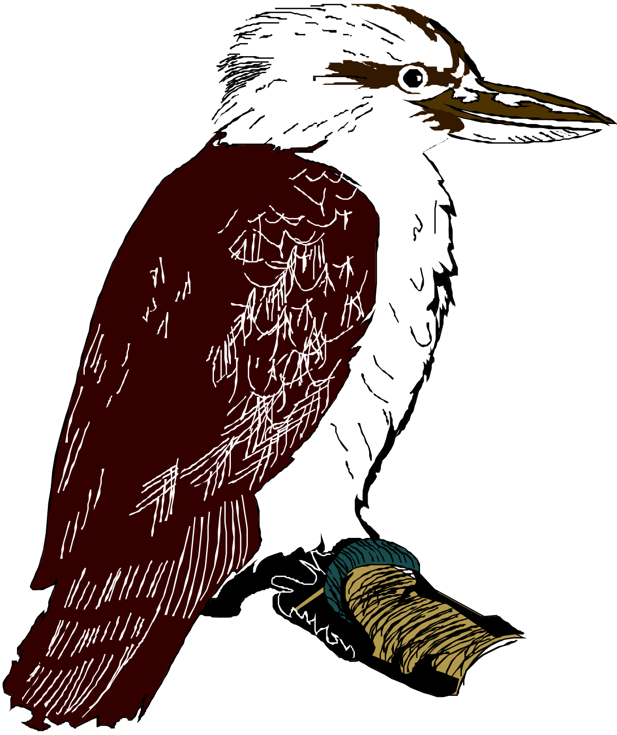 Bird on Branch Clipart: Charming Avian Scene with Nearby Companion