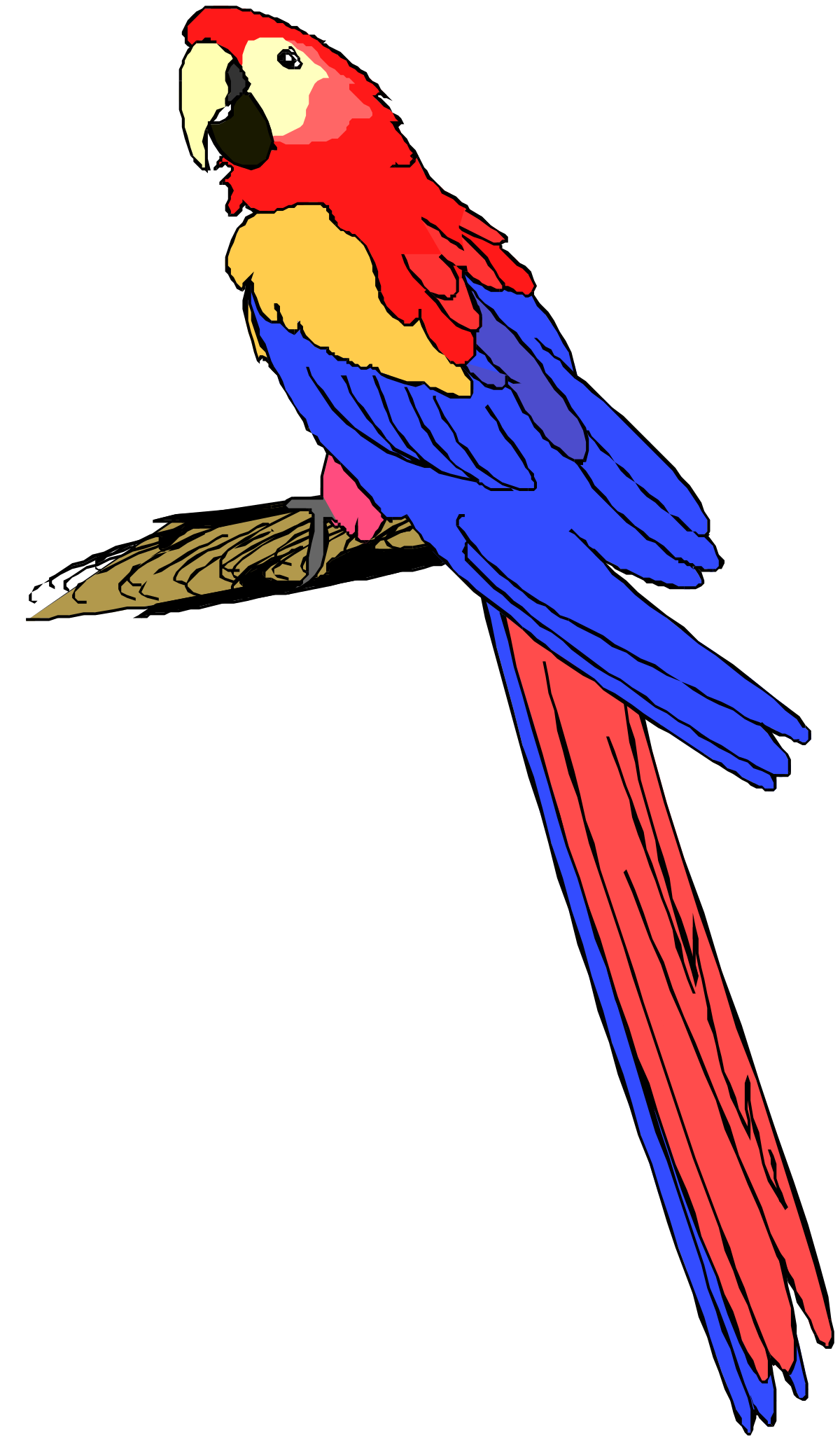 Colorful Parrot Sitting on a Branch - Vibrant Nature Clipart