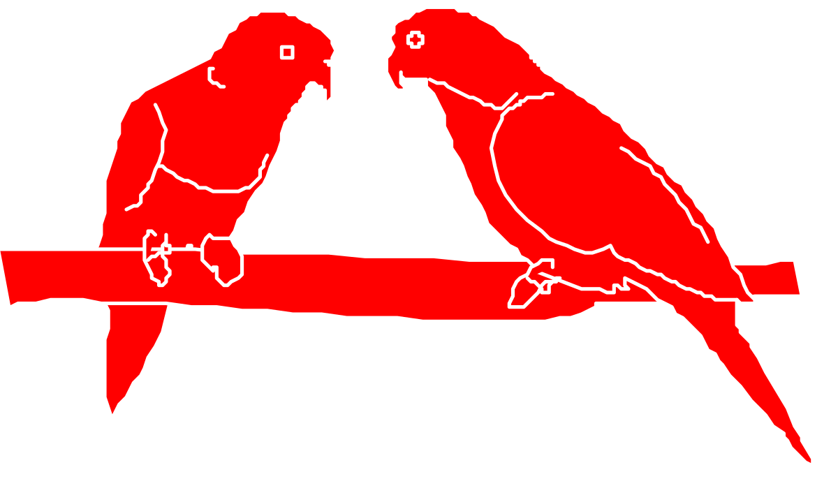 Parrots on Branch Clipart - Colorful Tropical Birds Sitting Together