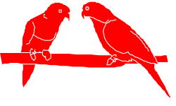 Parrots on Branch Clipart - Colorful Tropical Birds Sitting Together