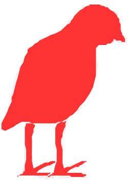 Red Bird Clipart on Black Background - Perfect for Your Projects