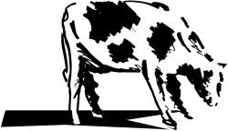 Cow Silhouette Against Black Background - Stunning Clipart
