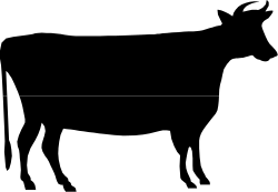 Cow Silhouette with Floral Accents on Black Background