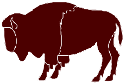 Bison Silhouette on Black Background - Stunning Clipart for Any Project