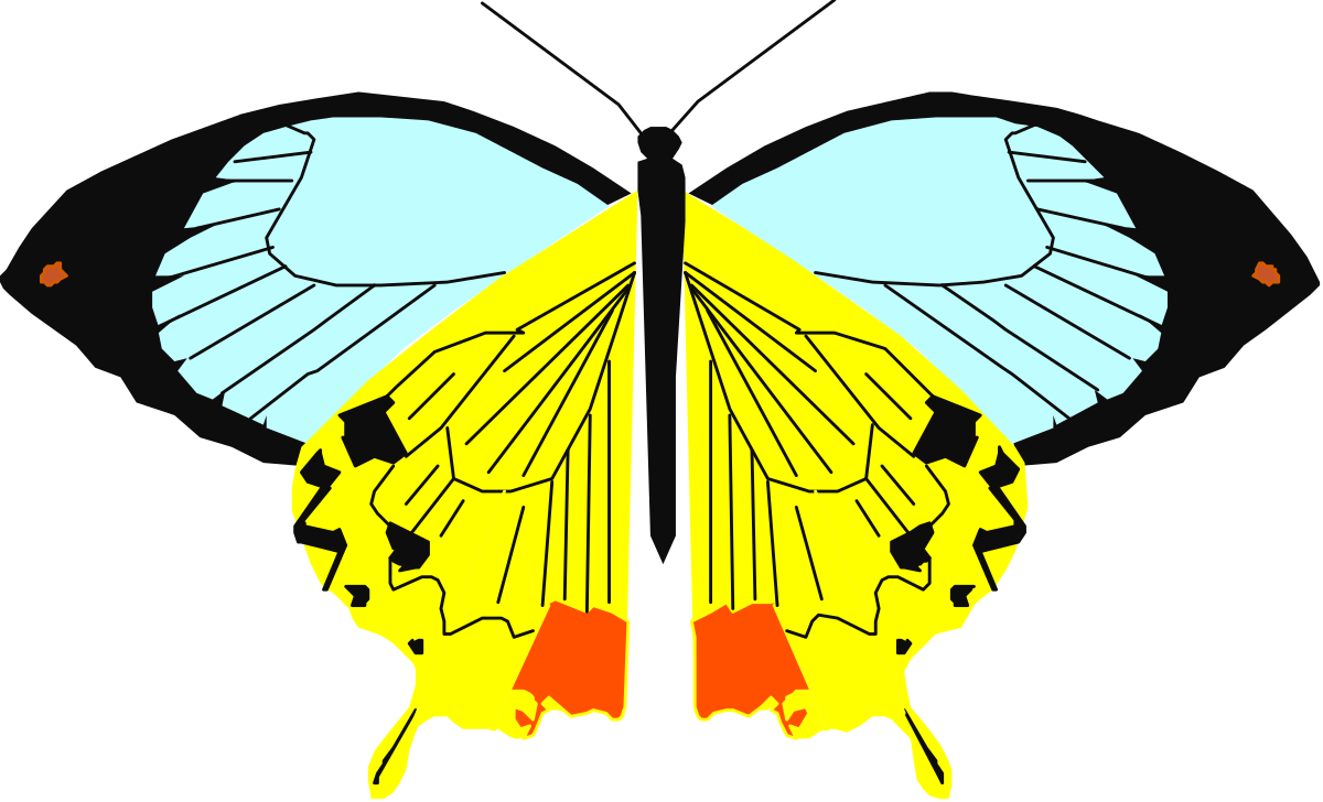 Butterfly Clipart: Stunning Two-Winged Butterfly Designs for Creative Projects