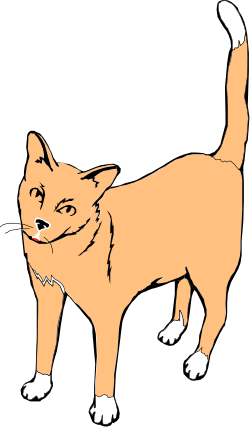 Cat with Red Nose and White Paws Clipart for Creative Projects