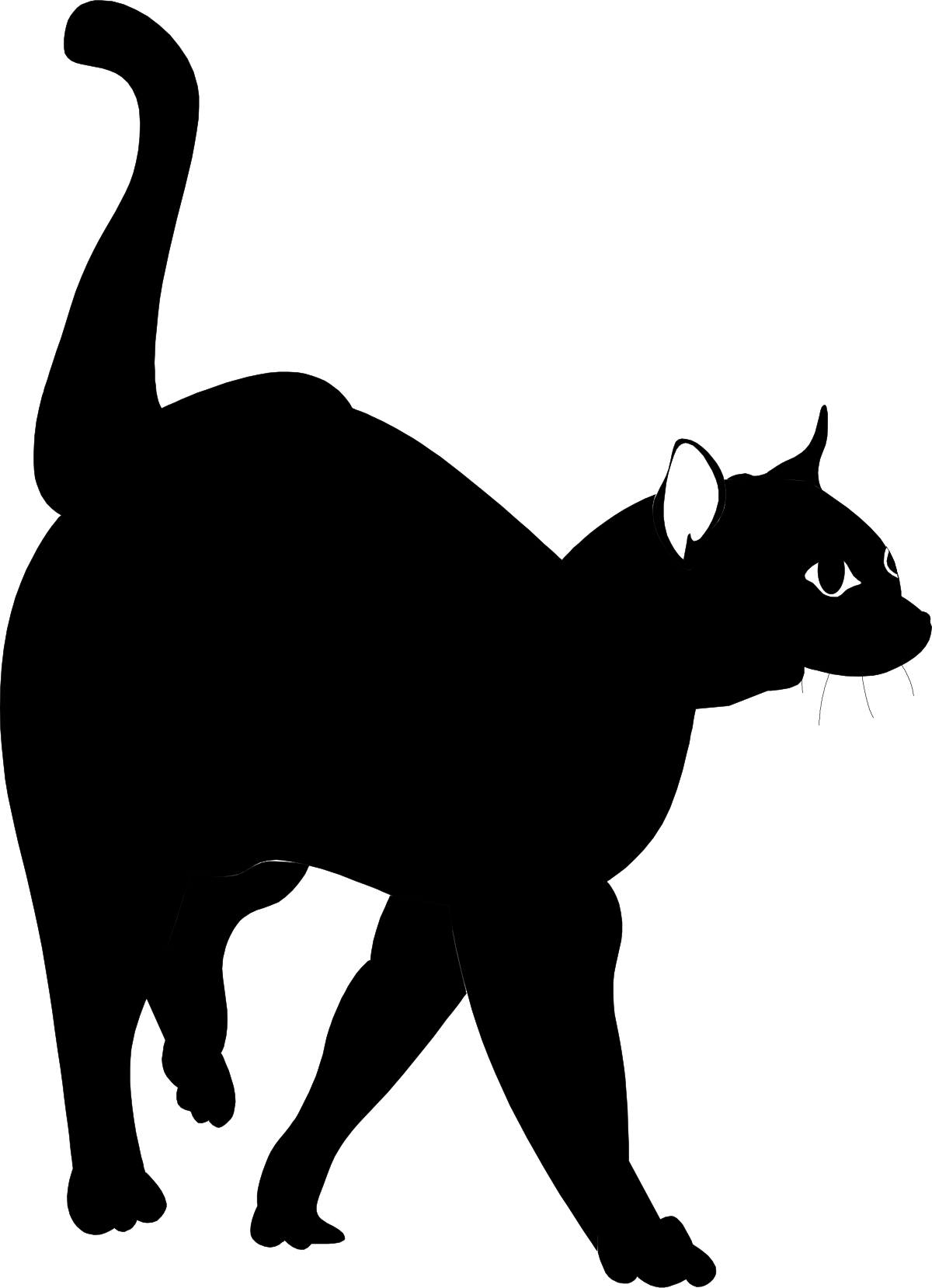 Black Cat with White Face on Dark Background - Elegant Clipart Design