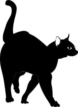 Black Cat with White Face on Dark Background - Elegant Clipart Design