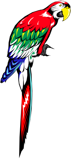 Colorful Parrot Sitting on a Branch - Vibrant Clipart for Creative Projects