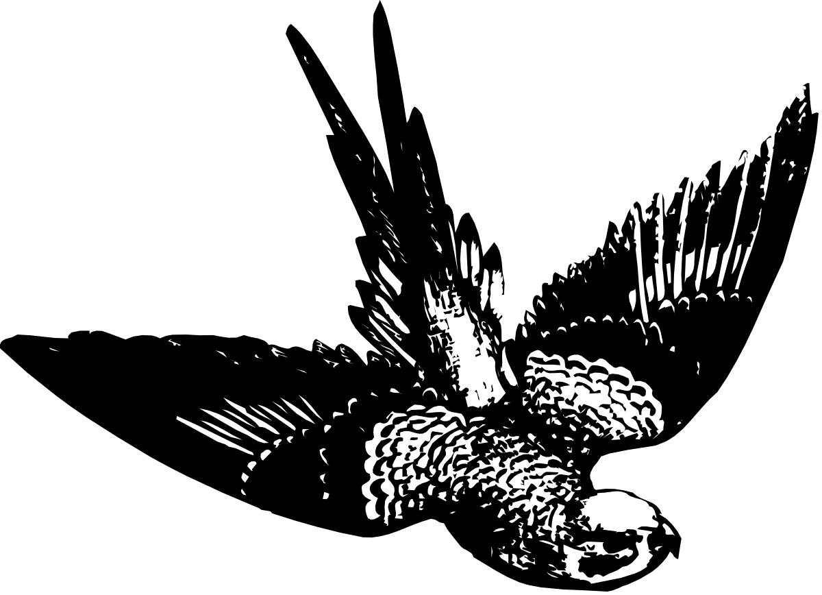 Black and White Bird Clipart: Elegant Feathered Designs for Every Project
