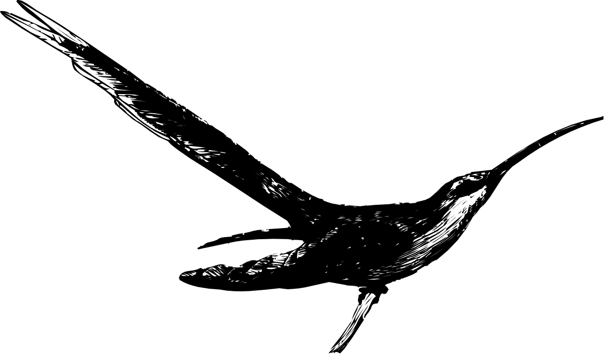 Bird Flying in Dark Sky Clipart - Elegant Nighttime Illustration