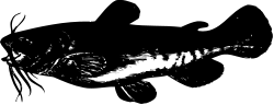 Black and White Cat Clipart Image for Creative Projects