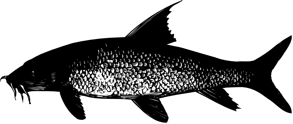 Black and White Fish Clipart for Diverse Uses