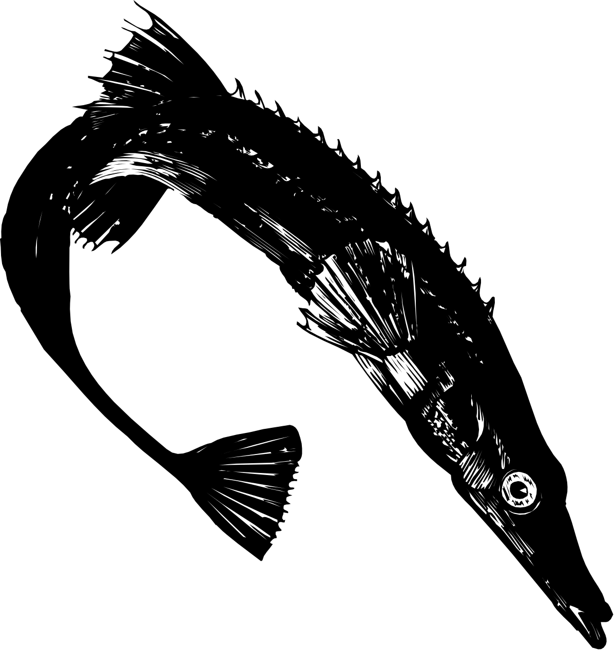 Black and White Bird Clipart for Elegant Designs