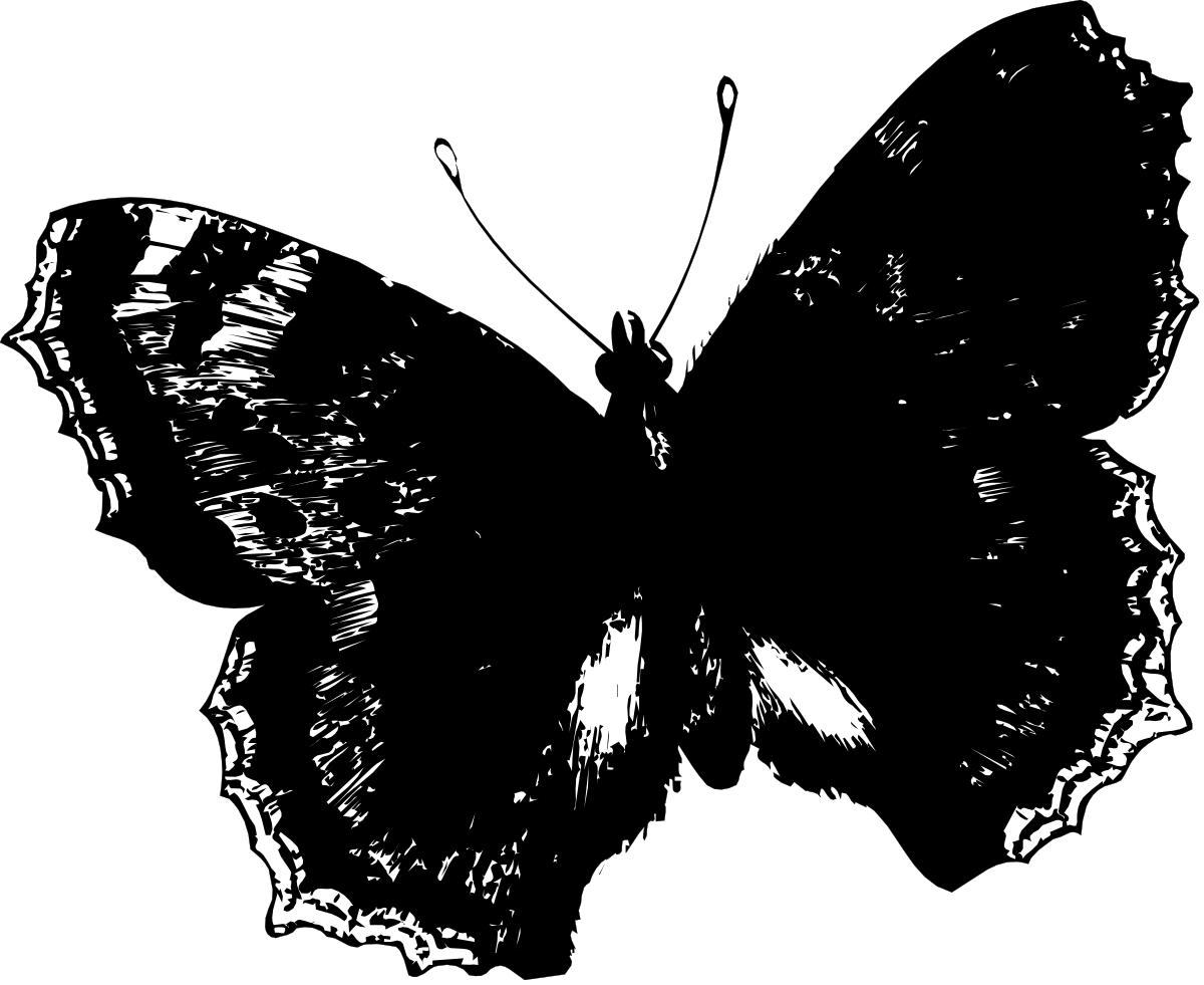 Black and White Butterfly Clipart on Dark Background