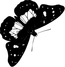 Black and White Butterfly in Flight - Stunning Clipart for Nature Themes